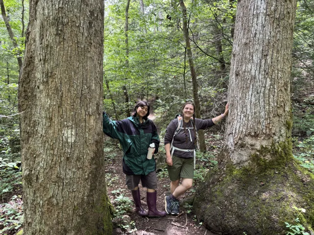 Two women in the woods leaning against two giant trees.