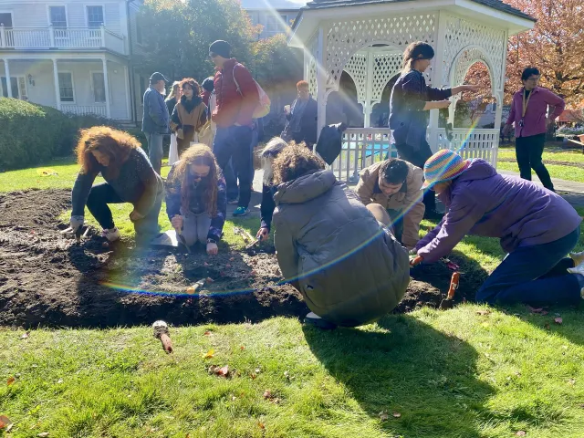 Sunny day with a group of people planting bulbs. 