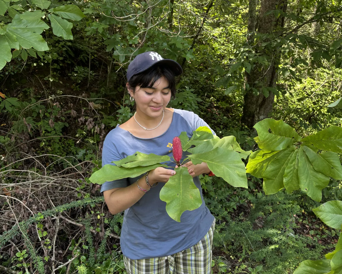 Woman with black hair tied back, baseball cap and light blue cap holding a magnolia fruit in the forest.