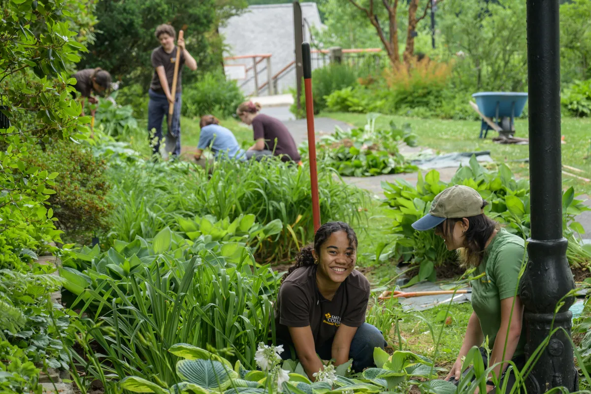 Student in brown shirt working in the garden smiling.
