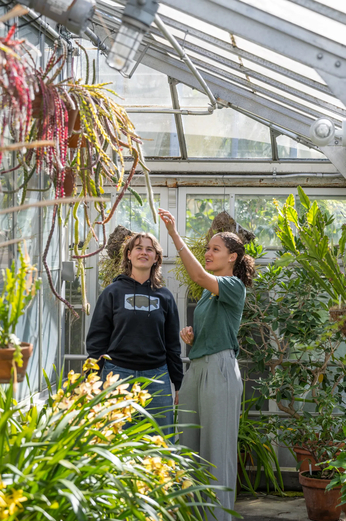 Two students looking at hanging plants in greenhouse.