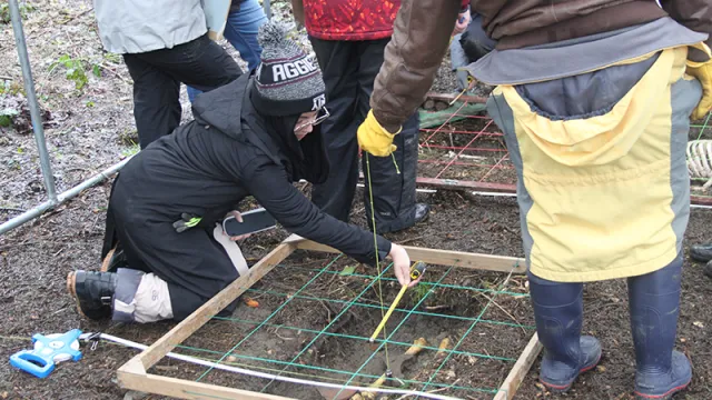 Students research at the Irish Archaeological Field School