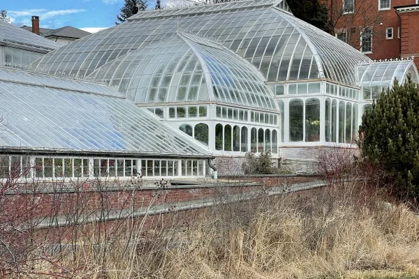 lyman plant house