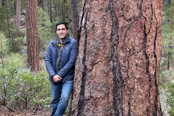 Man in blue jacket and jeans leaning on a big tree. 