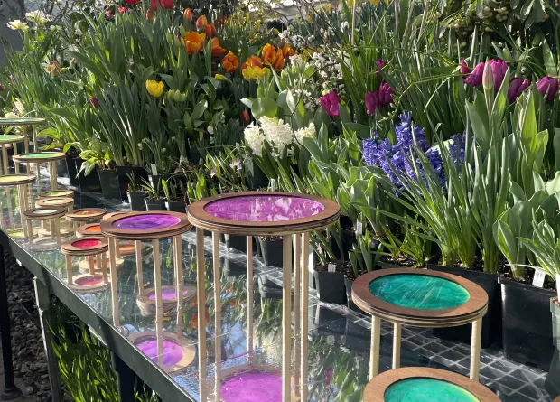 wooden structures with painted colors on them in front of a backdrop of bulb flowers in bloom.