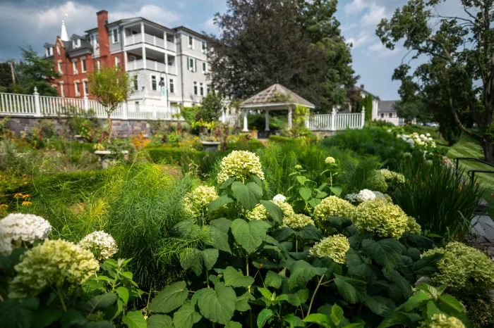 Outdoor Gardens