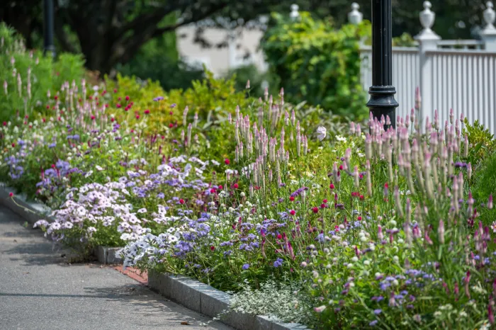 Outdoor Gardens