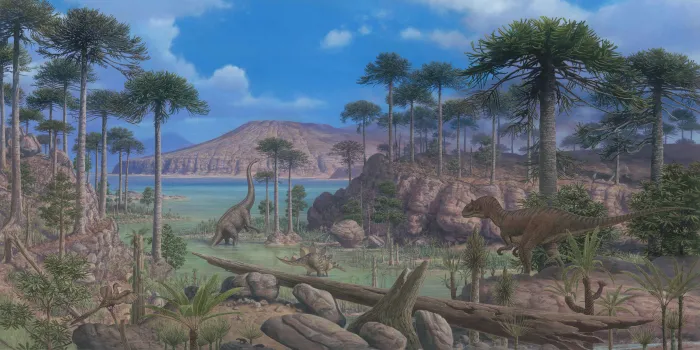 Panel 6: Age of Gymnosperms