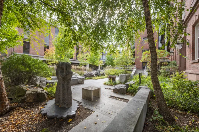 Stone statues in a garden with birch branches creating shade overhead.