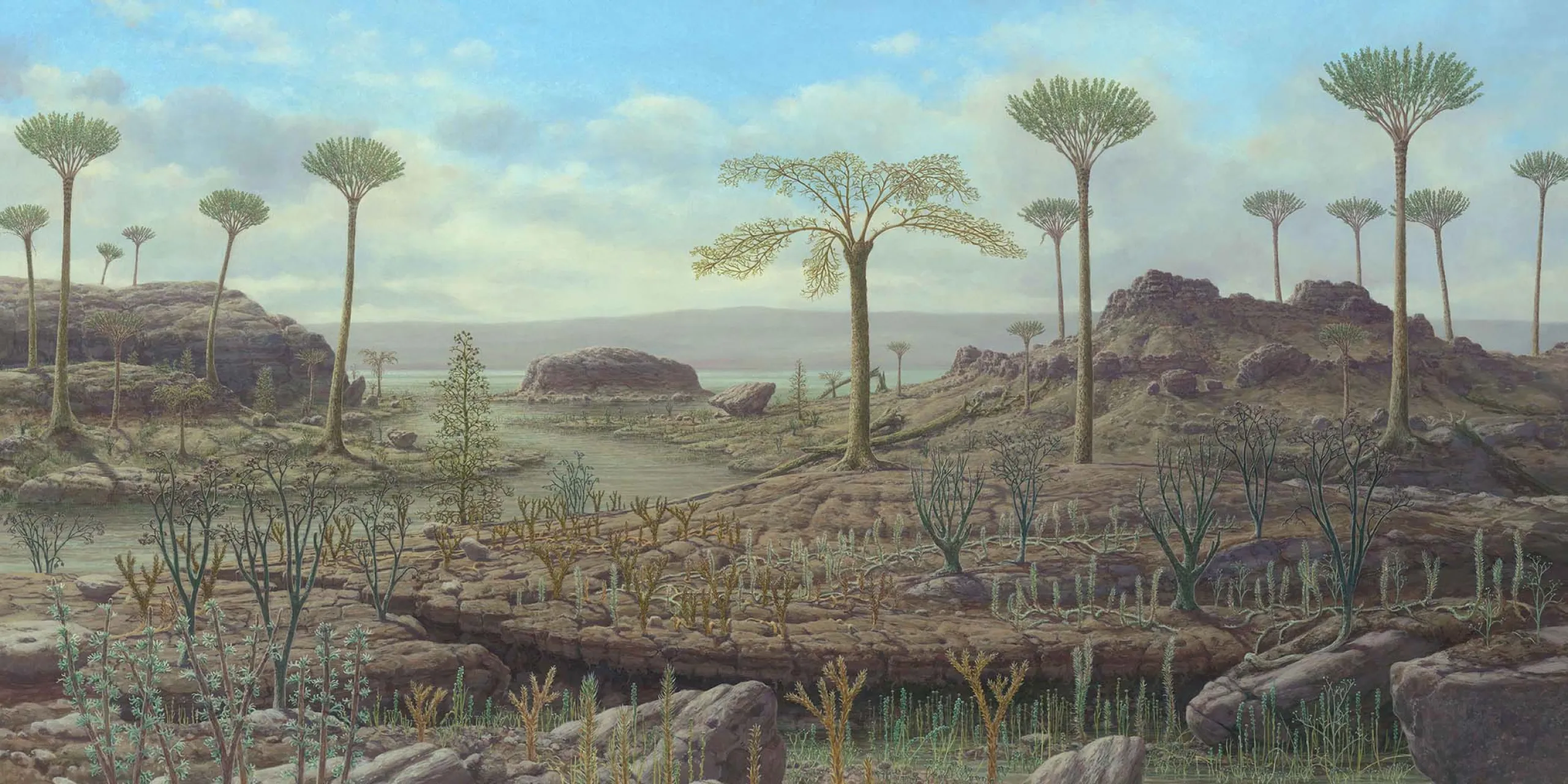 panel of plant evolution