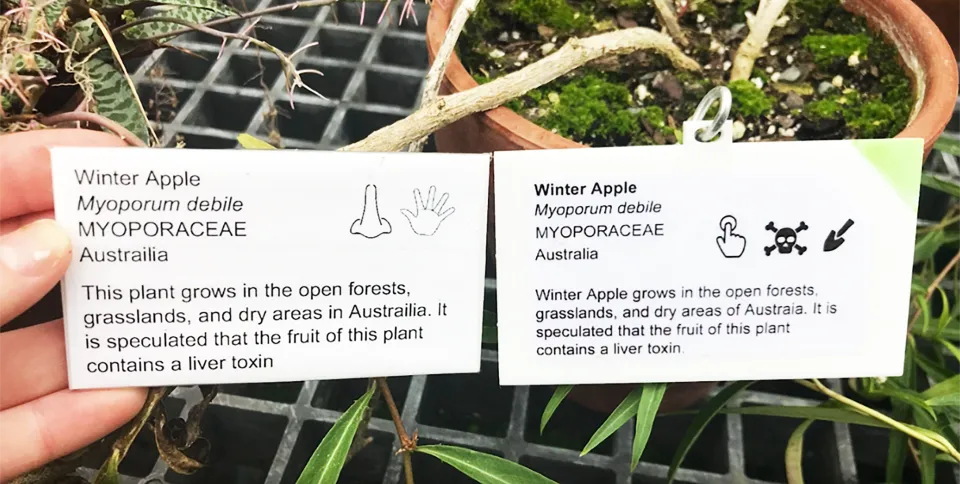 plant label