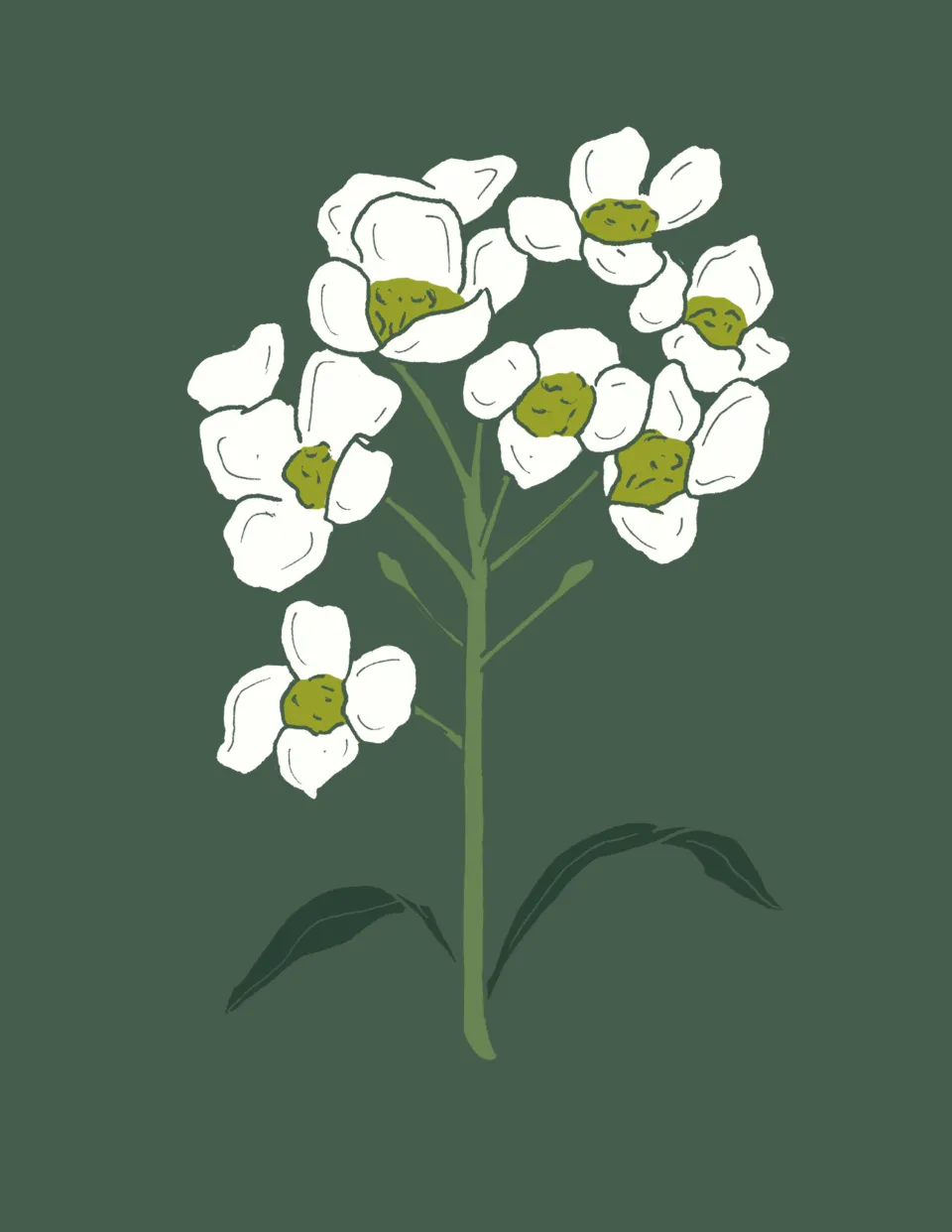 flower print
