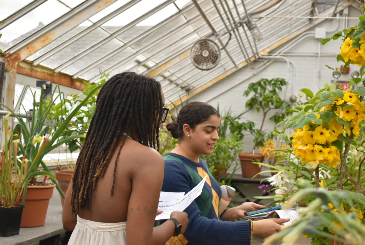 Two students in conservatory with plants with yellow flowers. 