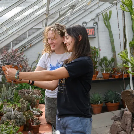 Two smith students looking at a potted plant in the conservatory.