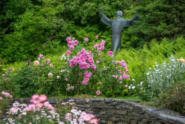 Pink and white roses in the garden in front of a green bronze statue of figure with arms up in the air.