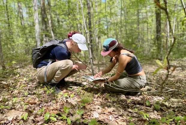 Two Smith students with caps on crouched in the woods looking at a field book.