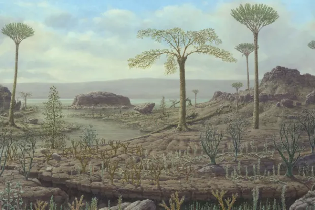 sparse plant life on terrain
